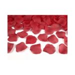 PartyDeco - Confetti Pétales de Rose - Rouge 100pcs