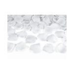 PartyDeco - Confetti Pétales de Rose - Argenté 100pcs