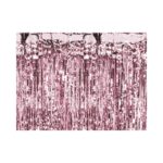 PartyDeco - Rideau de fête, rose , 90 x 250cm