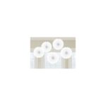 Amscan - Rosettes 5pcs blanc