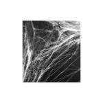 PartyDeco - Toile d'araignée , Blanche, 60g