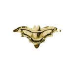 PartyDeco -Assiettes Chauve-souris, or, 37.5x18.5cm