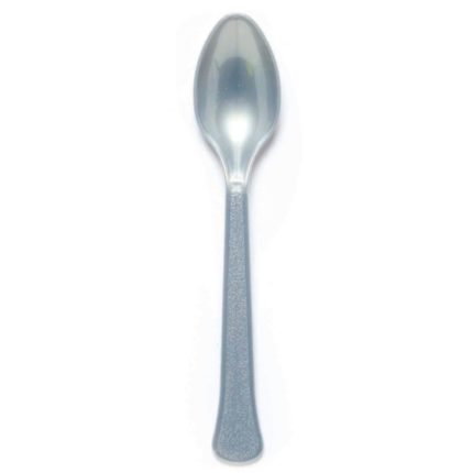 big_2805-1.jpg Cuillère en plastique Graphite 24 pièces